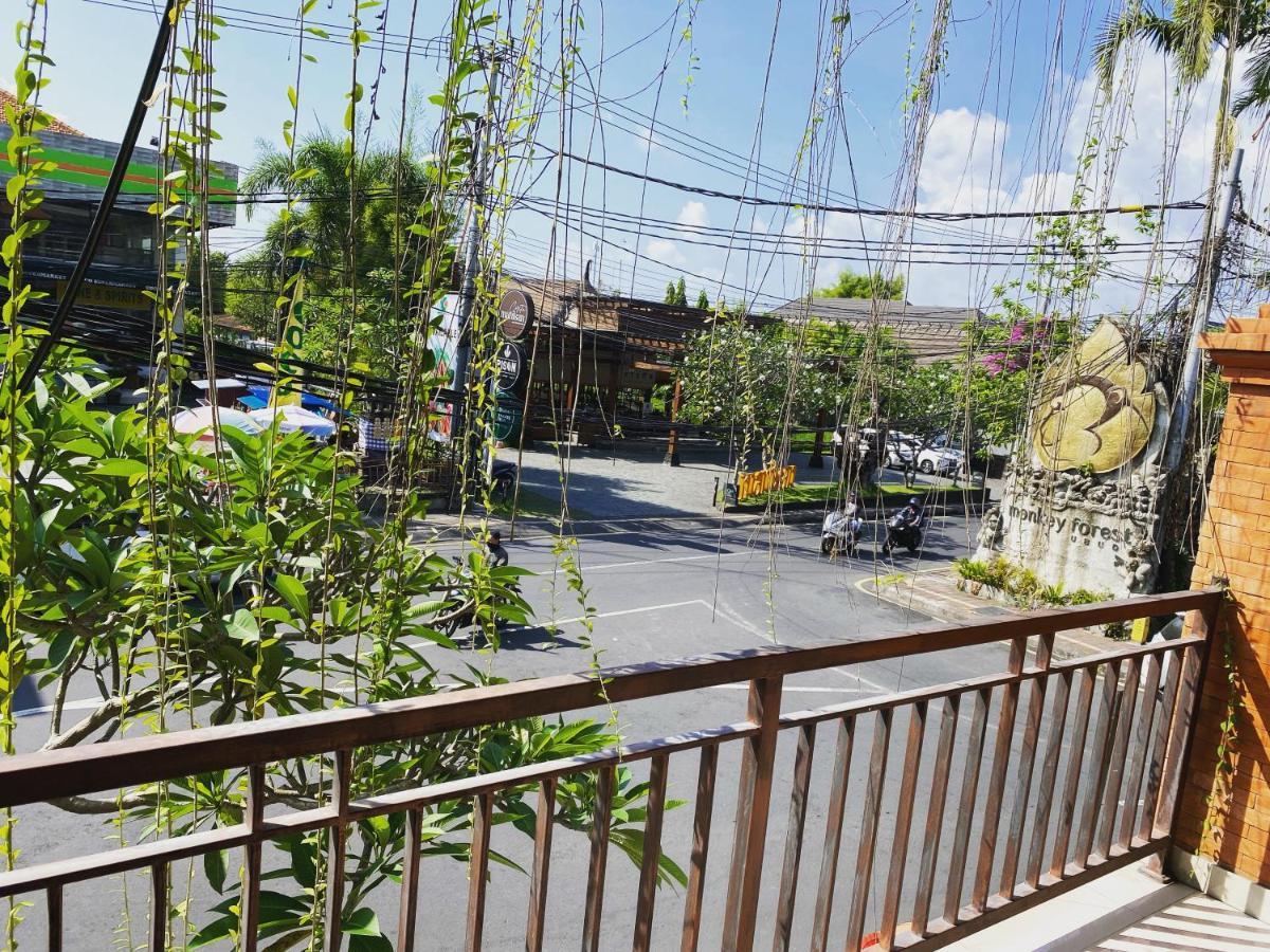 Grey House Monkey Forest أوبود المظهر الخارجي الصورة